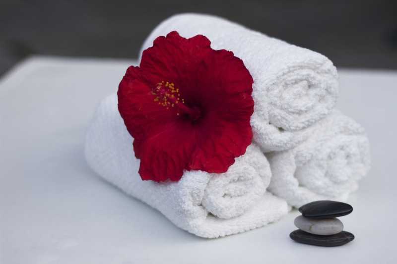 hotel-LA ROQUE ESCLAPON-min_towel_hibiscus_clean_care_salon_spa_white_bath-869834